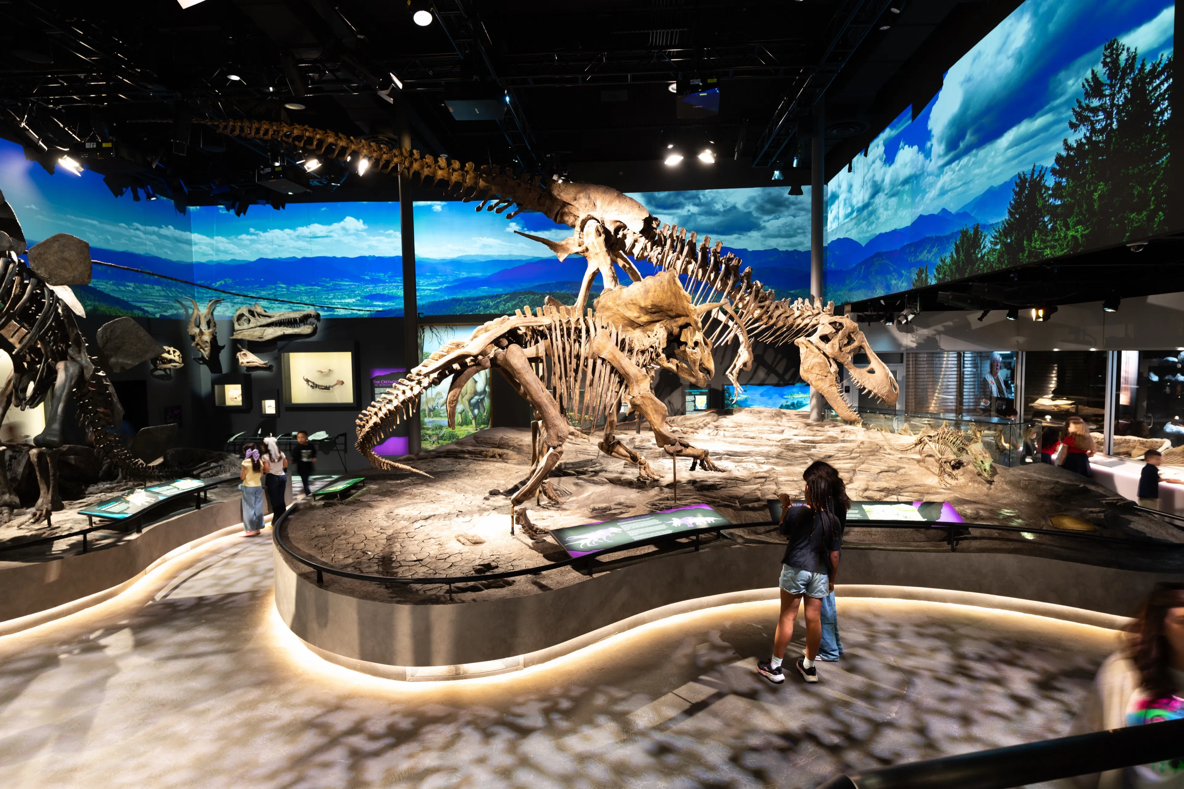 The main hall at midday: a Tyrannosaurus skeleton under a bright projected sky