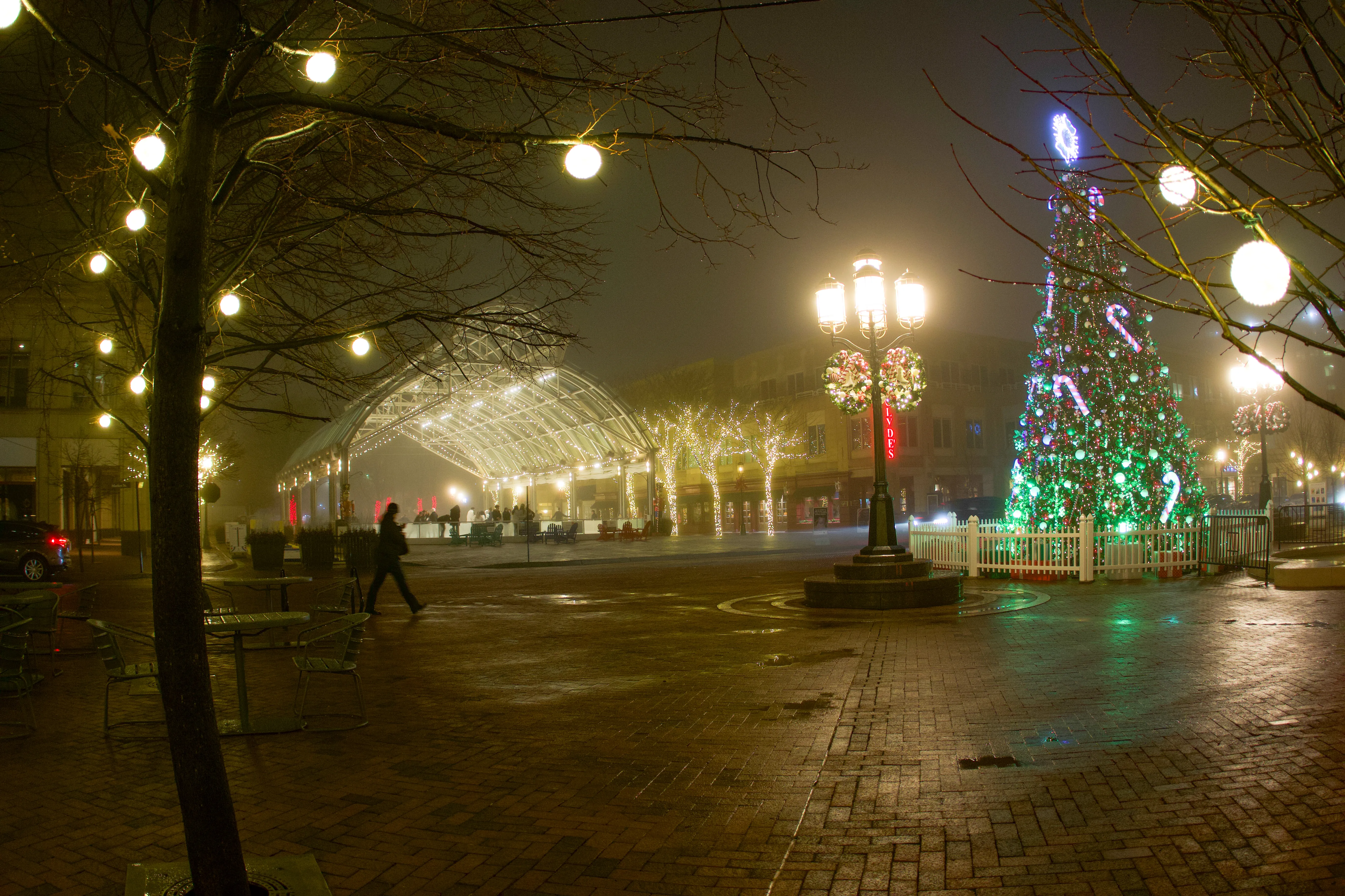 The plaza during the show: lamp poles glowing through haze, the tree lit green beyond them