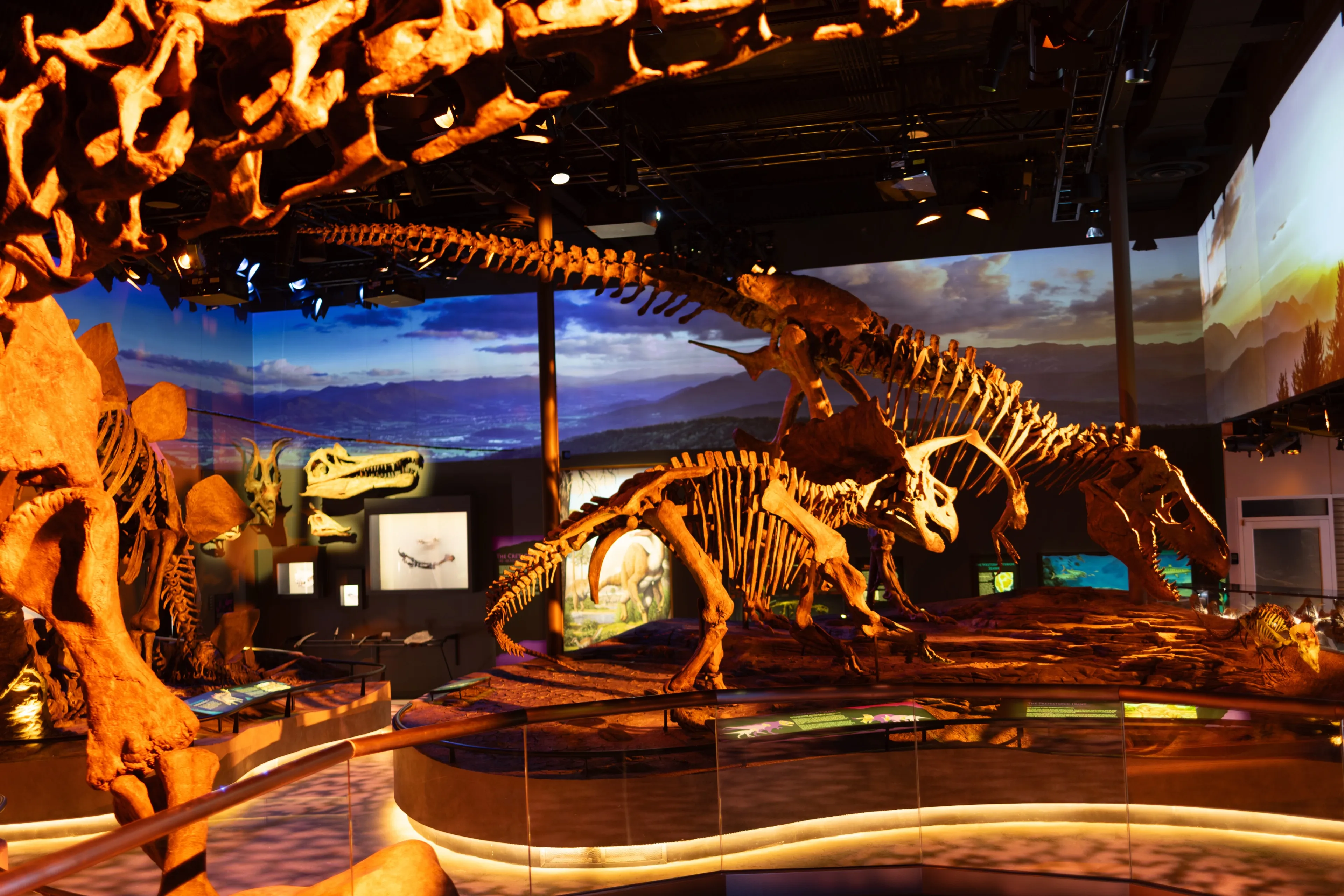 The main hall at sunset: warm light and long shadows across the skeletons, the panorama glowing behind them