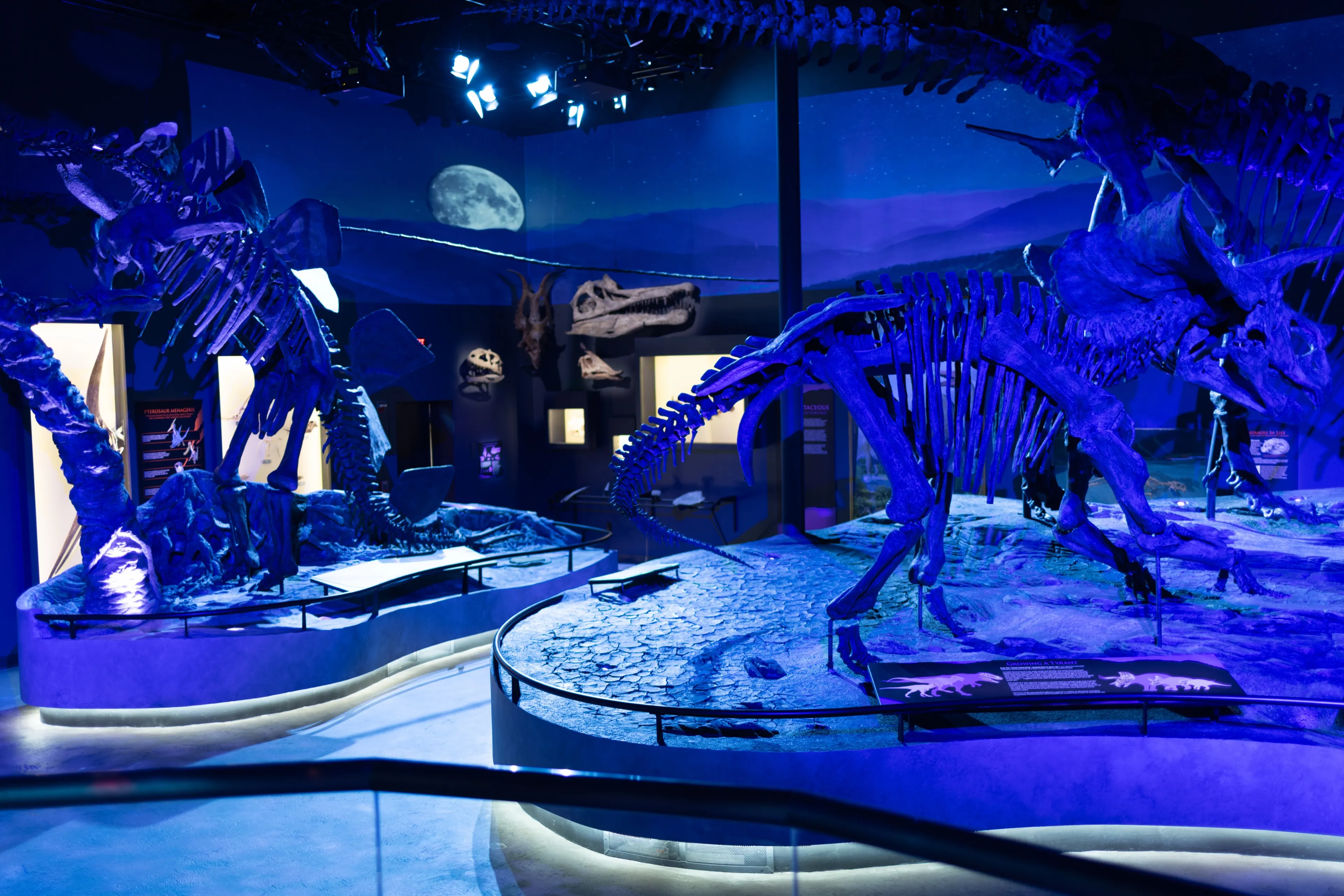 Night in the main hall: the skeletons in blue under a dark projected sky