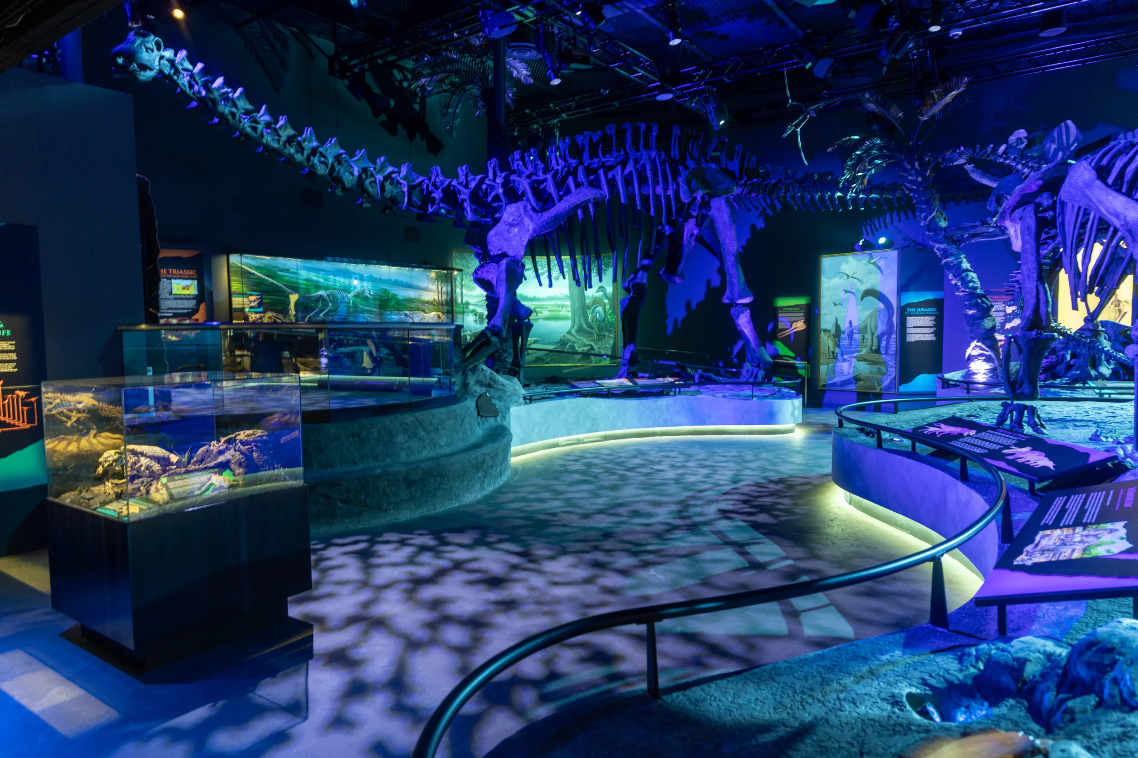 The main hall at night, skeletons lit in blue under a projected sky