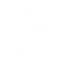 Themed Entertainment Association