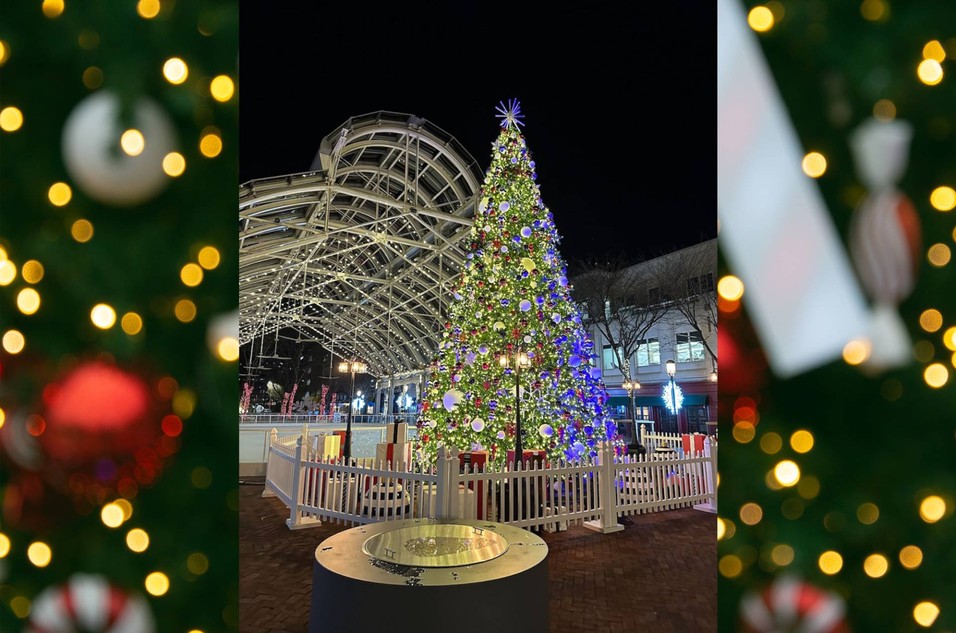 Reston Town Center Holiday
